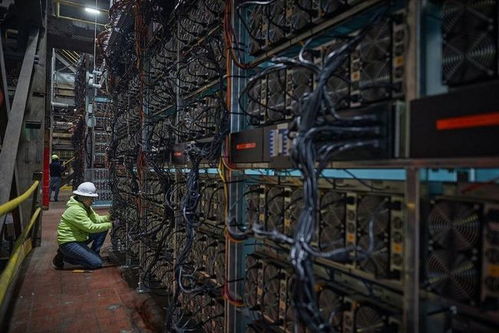 A sophisticated mining farm setup